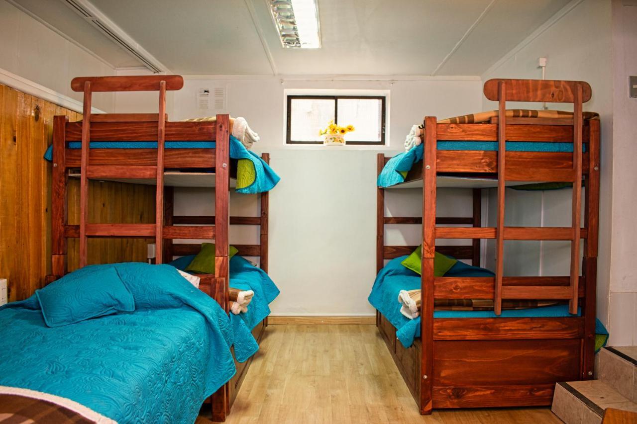 Green Hostel 瓦尔迪维亚 外观 照片
