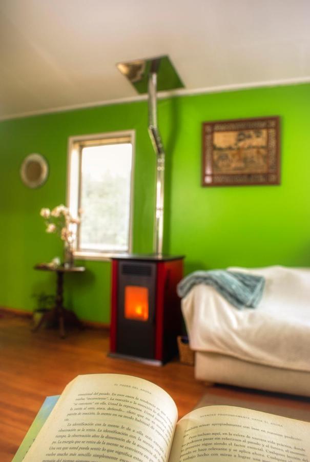 Green Hostel 瓦尔迪维亚 外观 照片
